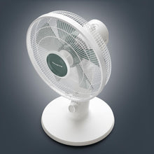 Lataa kuva Galleria-katseluun, V2HEAF31EDADC86F3F8FCA79FD7B472771FR7813739P6