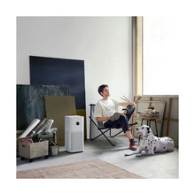 Lataa kuva Galleria-katseluun, V8H306D2F9411C4DAA99657D81891E2C2F5R6672043P4