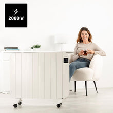 Lataa kuva Galleria-katseluun, V4H05B33CCA57B6B5208E366A0012269CDCR7519561P2
