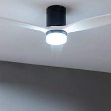 Lataa kuva Galleria-katseluun, V2HE1B54FD23991DB61A5A8277579E26088R7708762P3