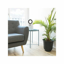 Lataa kuva Galleria-katseluun, V14H1E88D10876415F33A3802CA87CE24750R5055309P6
