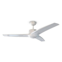 Lataa kuva Galleria-katseluun, V13HACFE30CC475A157DBD9A2D2CC3B49EA4R3888257P1

