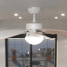 Lataa kuva Galleria-katseluun, V4H5A0E4A3F0634937F0FE020D65A97DD60R6855514P2

