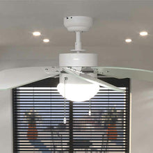 Lataa kuva Galleria-katseluun, V4H9773B52D810100B239A94BF19EA16C2CR6855408P2
