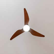 Lataa kuva Galleria-katseluun, V6HEF6E5E6DEA0DBC1654142D49702206EAR5322183P3
