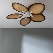 Lataa kuva Galleria-katseluun, V7HD1B6B2D7C335ECE21BE05560CA4BC490R7345203P2
