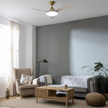 Lataa kuva Galleria-katseluun, V7H21CBB89F6A1CC129E3E253DDD3886B60R7345171P3
