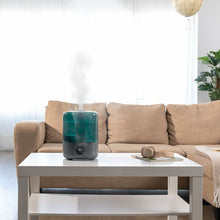 Lataa kuva Galleria-katseluun, V8HFF72E06D0AEEAB1A71E94BE854FC208DR7402082P7

