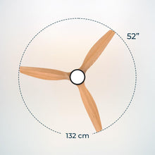 Lataa kuva Galleria-katseluun, V2HFC13C58081B79843FDDB6F1572C7D0A1R7708755P3
