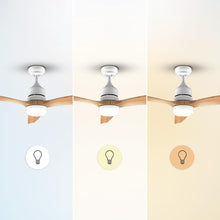 Lataa kuva Galleria-katseluun, V2H6939C6CF0668E9B415BABFB22334BDF4R7708761P4
