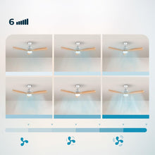 Lataa kuva Galleria-katseluun, V2H48B276CF0E72151767069F621D30E6BER7708779P7
